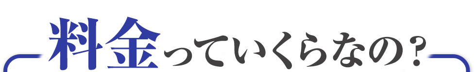 料金っていくらなの？